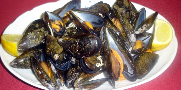 Grilled mussels from Menorca