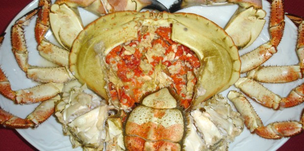 Buey de mar (crab)