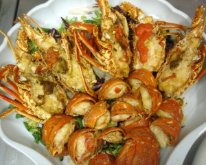 Fried  Menorcan spiny lobster